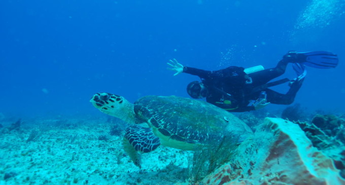 Islas del Maíz: un paraíso en Nicaragua