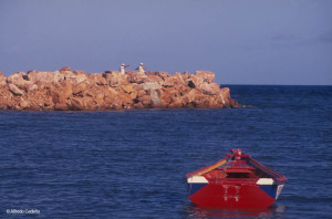 Isla de Margarita, estado Nueva esparta