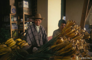 Campesinos tachirenses