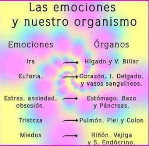 Órganos y emociones