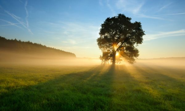 Inicios, hay que buscarles el lado bueno. Foto Internet