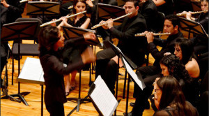 Orquesta Nacional de Flautas de Venezuela