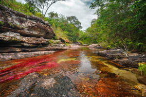 Cano-Cristales 5