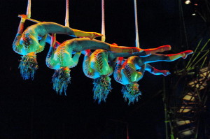 varekai SHOW1