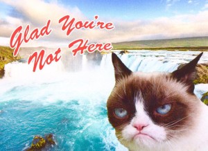 Grumpy cat en LNL meme