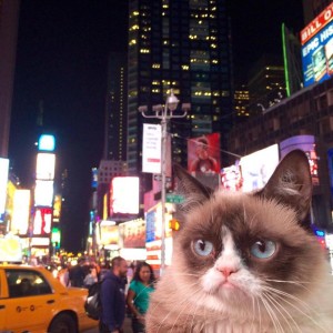 Grumpy en Nueva York
