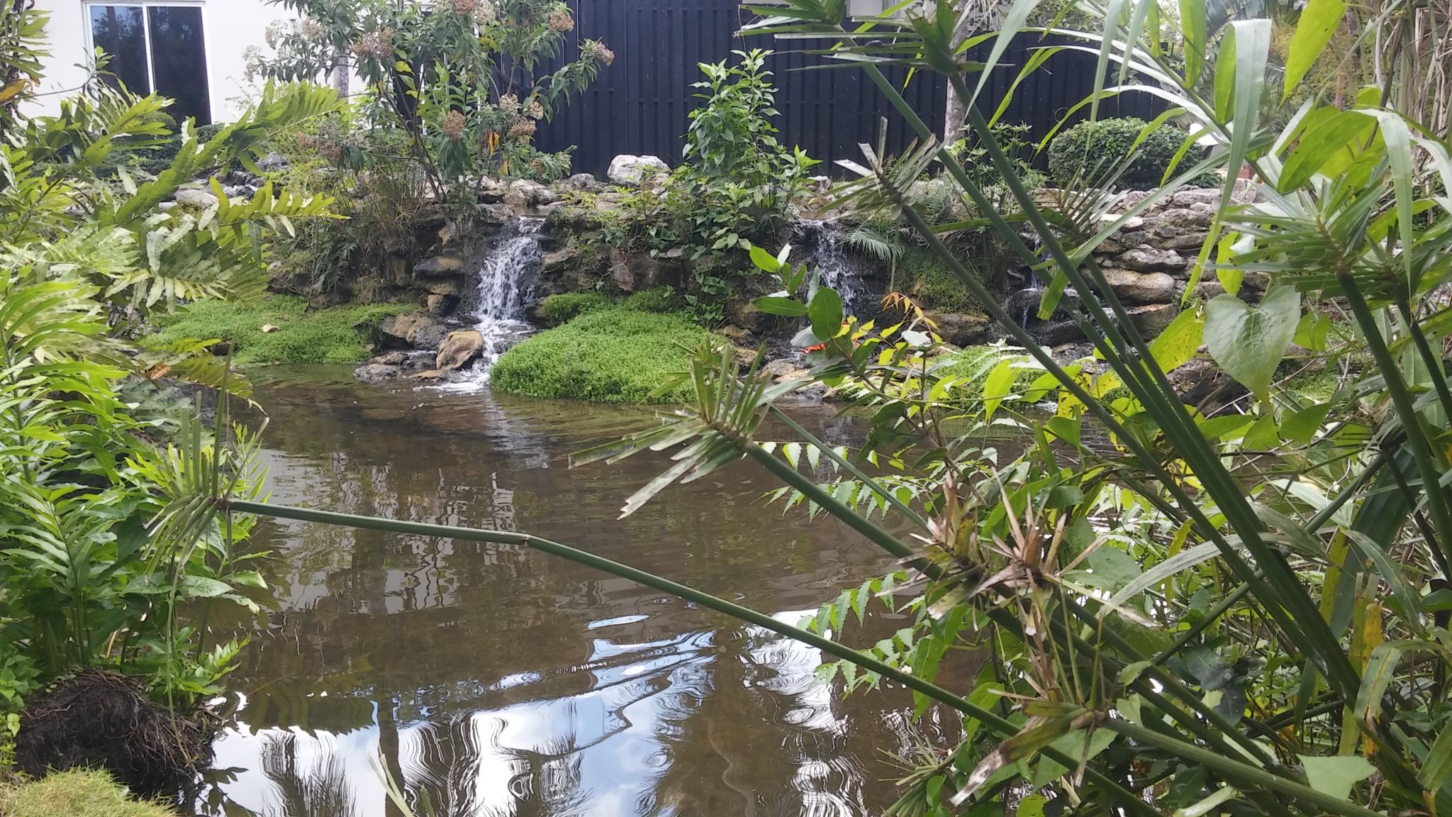 Un pequeño riachuelo