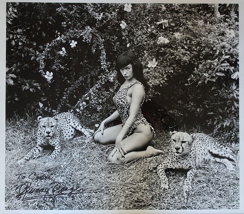 Bunny Yeager, pintura