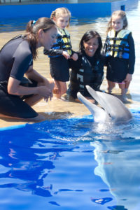 ¿Cómo los niños pueden visitar la Costa Histórica de Florida sin salir de casa?