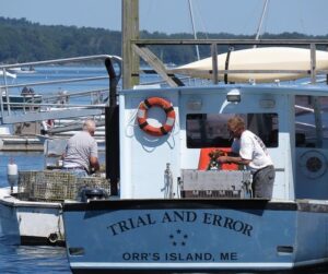 El Coronavirus cambió la forma en que las personas compran sus alimentos