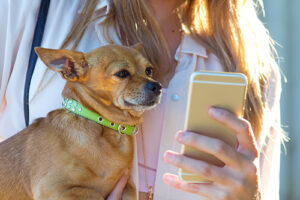 7 apps para cuidar y divertirte con tu perro en una sola palabra Guau