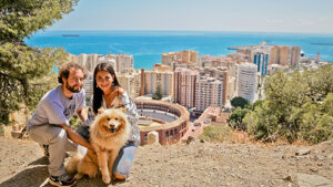 Los perros también emigran. ¡Estas historias te emocionarán! 