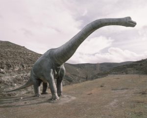 Ocón, el valle del sabor en La Rioja