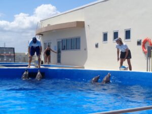 Marineland: Un viaje en el tiempo y debajo del agua