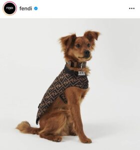 Moda de lujo para mascotas: 5 marcas que son tendencia