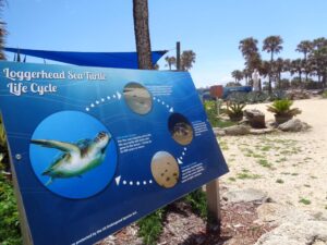 Marineland: Un viaje en el tiempo y debajo del agua