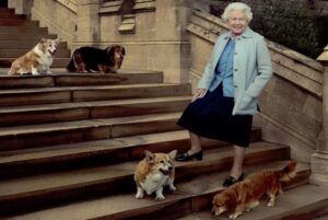 Moda de lujo para mascotas: 5 marcas que son tendencia