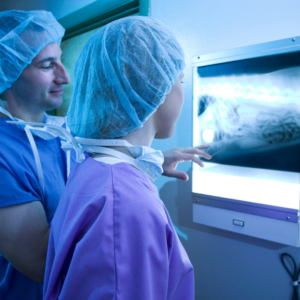 Convivir con un perro: ¿Qué hacer cuando se enferma?