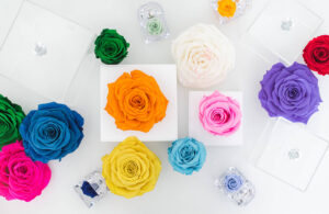 Yolanda Voyles: “A través de  rosas preservadas llevo amor, alegría y esperanza a mujeres”