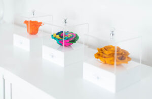 Yolanda Voyles: “A través de  rosas preservadas llevo amor, alegría y esperanza a mujeres”