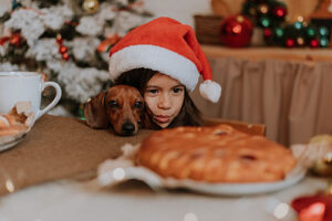 7 consejos para que tu mascota se sienta segura en Navidad