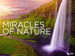 Nuestra.TV rompe barreras este verano con la mejor programación desde Latinoamérica